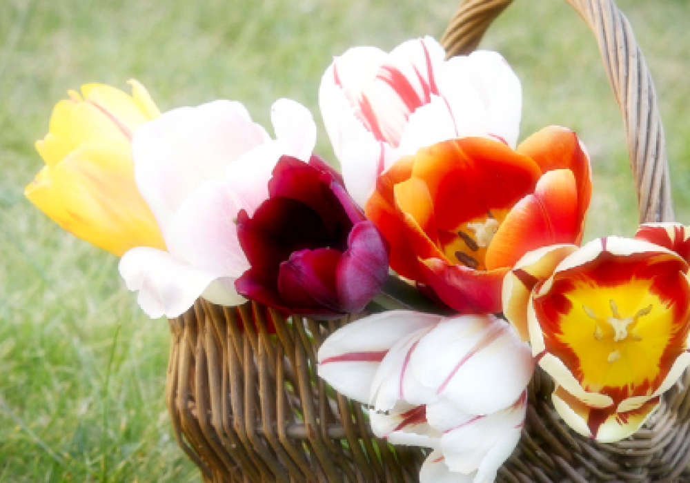 Place Floral Arrangements